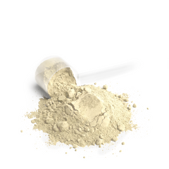 Whey Protein Blend (Vanilla)