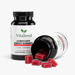 Cordyceps Energy Gummies